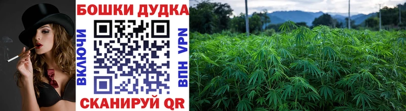Купить наркотик аптеки Белоусово Каннабис Cocaine Гашиш Alpha-PVP Меф