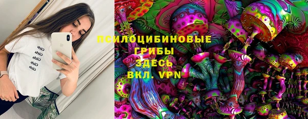 крисы Алексин