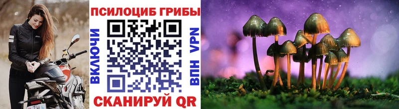 Псилоцибиновые грибы GOLDEN TEACHER  Белоусово 